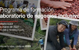 programa negocios inclusivos icex